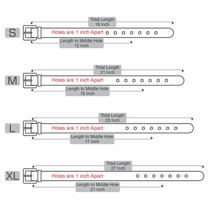 Leather Collars for Strong Dogs - 