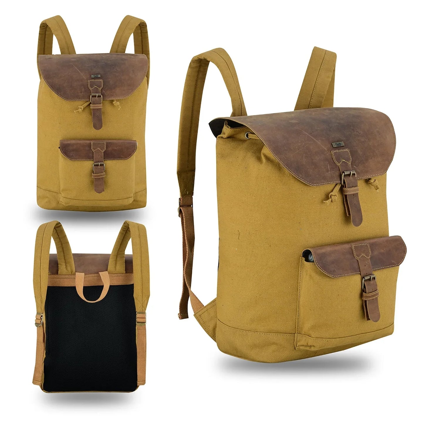 charlie london heritage canvas casual daypack, laptop backpack -
